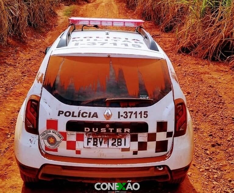 Gado da raça nelore desaparece de propriedade rural na zona norte de Marília