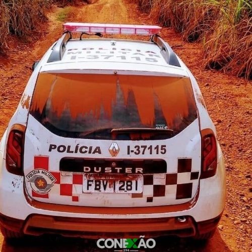 Gado da raça nelore desaparece de propriedade rural na zona norte de Marília